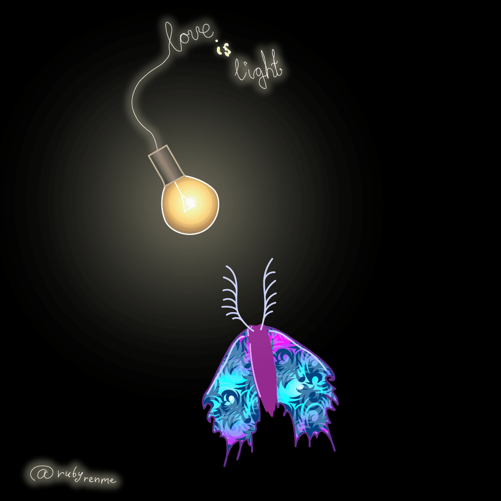light and moth